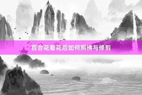 百合花着花后如何照拂与修剪
