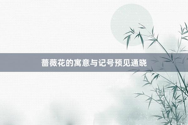 蔷薇花的寓意与记号预见通晓