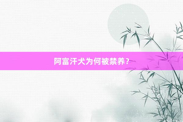 阿富汗犬为何被禁养？