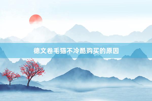 德文卷毛猫不冷酷购买的原因